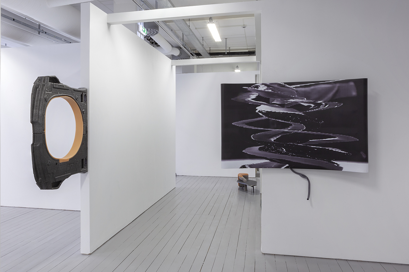 Carina Emery - Spiral Organs, 2021